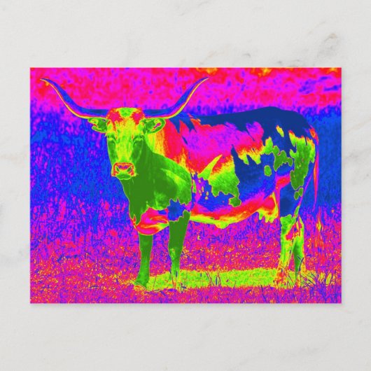 Carte Postale Psychédélique Texas Longhorn Cow (Devant)