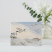 Carte Postale Ptarmigan en plumage hivernal, volant à travers la (Debout devant)