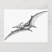 Carte Postale Ptéodactyle (Devant)