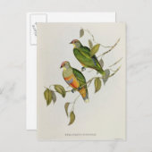 Carte Postale Ptilinopus Ewingii (Devant / Derrière)