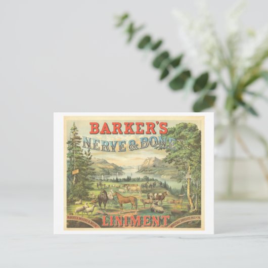 Carte Postale Publicité ancienne Médicament breveté pour les che (Debout devant)