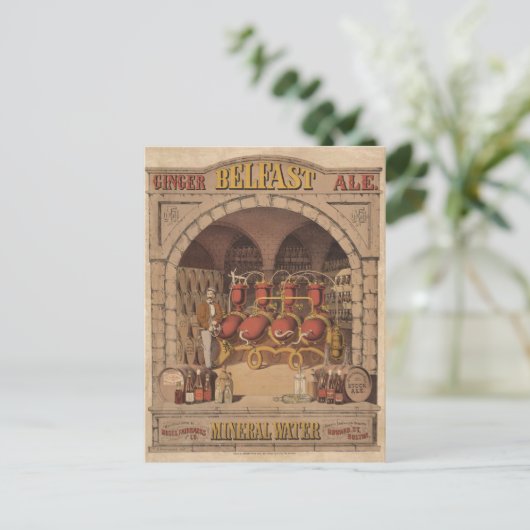 Carte Postale Publicité ancienne pour Belfast Ginger Ale. (Debout devant)