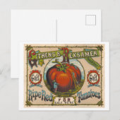 Carte Postale Publicité ancienne pour des tomates rouges mûres (Devant / Derrière)