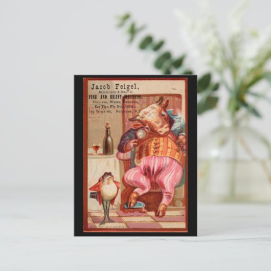 Carte Postale Publicité ancienne pour Jacob Feigel Harness Ad (Debout devant)