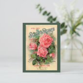 Carte Postale Publicité écossaise Rose (Debout devant)