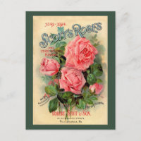 Publicité écossaise Rose