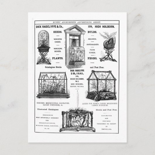 Carte Postale Publicité pour 'Dick Radclyffe & Co.' Publicité ru (Devant)