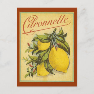 Carte Postale Publicité vintage Citronnelle