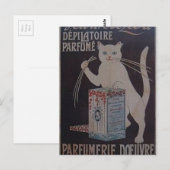 Carte Postale Publicité vintage française - chats (Devant / Derrière)