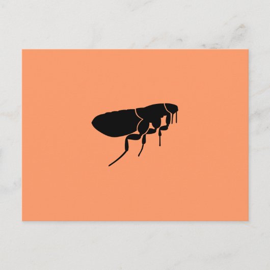 Carte Postale Puce (Devant)