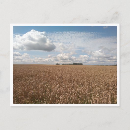 Carte Postale Puck (Pologne) (Devant)