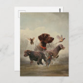 Carte Postale Pudelpointers, Chasse faisan (Devant / Derrière)