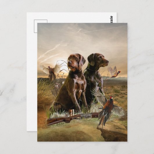 Carte Postale Pudelpointers, Chasse faisan (Devant / Derrière)