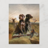 Carte Postale Pudelpointers, Chasse faisan (Devant)