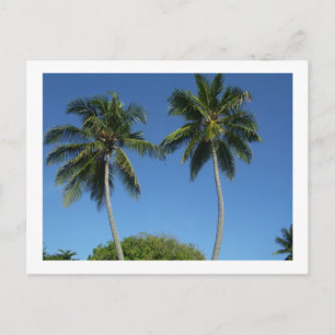 Carte Postale Puerto Rico