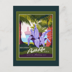 Carte Postale Puerto Rico Postcard