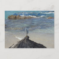 Puerto Vallarta, Mexique. Garza Blanca