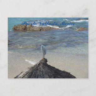Carte Postale Puerto Vallarta, Mexique. Garza Blanca