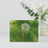 Carte postale 'Puff' de Dandelion Seed (Debout devant)