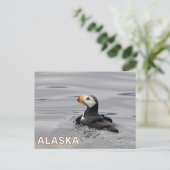 Carte Postale Puffin À Cornes En Alaska (Debout devant)
