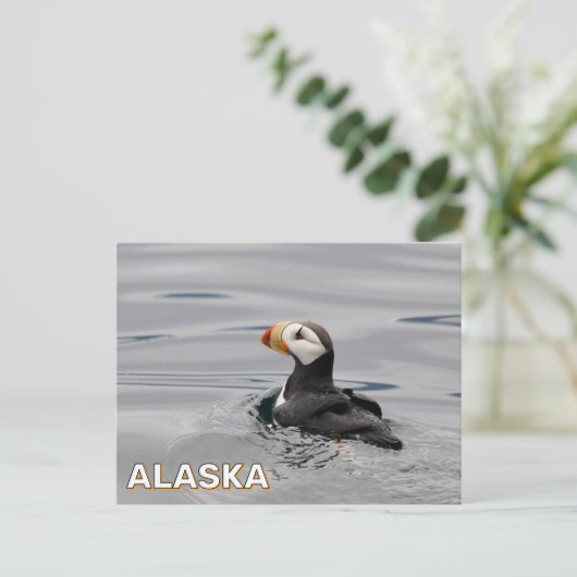 Carte Postale Puffin À Cornes En Alaska (Debout devant)