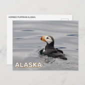 Carte Postale Puffin À Cornes En Alaska (Devant / Derrière)