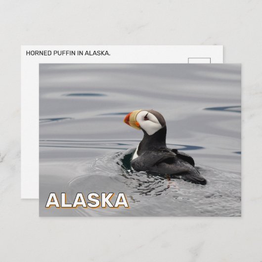 Carte Postale Puffin À Cornes En Alaska (Devant / Derrière)