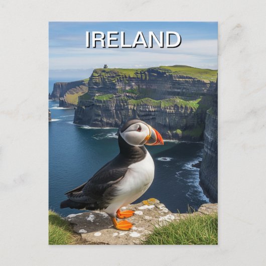 Carte Postale Puffin aux falaises de Moher Irlande Travel (Devant)