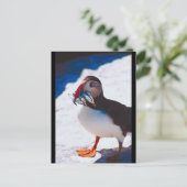 Carte Postale Puffin avec poisson (Debout devant)