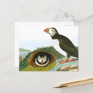 Carte Postale Puffin de John James Audubon