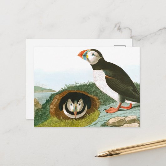 Carte Postale Puffin de John James Audubon (Devant/Arrière en situation)