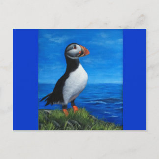 Carte Postale Puffin de l'Atlantique