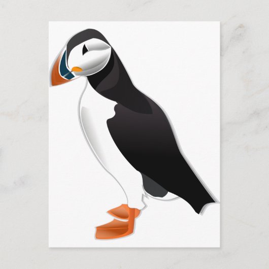 Carte Postale Puffin de l'Atlantique (Devant)