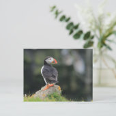 Carte Postale Puffin sur un rocher (Debout devant)