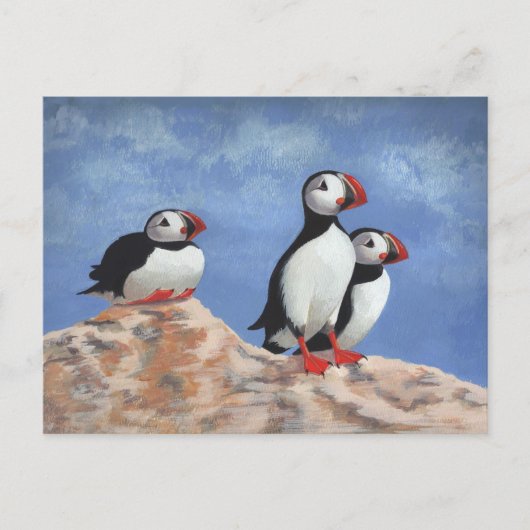 Carte Postale Puffin Trio (Devant)