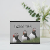 Carte postale Puffins (Debout devant)