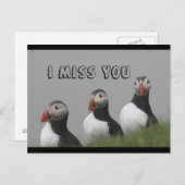Carte postale Puffins (Devant / Derrière)