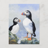 Carte postale Puffins (Devant)