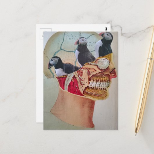 Carte Postale Puffins on the Brain Surreal mixed media collage (Devant/Arrière en situation)