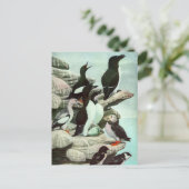 Carte Postale Puffins vintages et oiseaux aquatiques de Louis Fu (Debout devant)