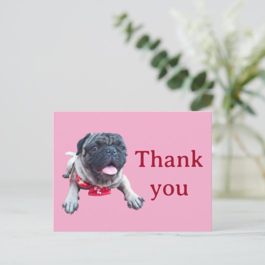 Carte Postale pug (Debout devant)