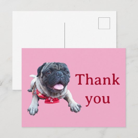 Carte Postale pug (Devant / Derrière)