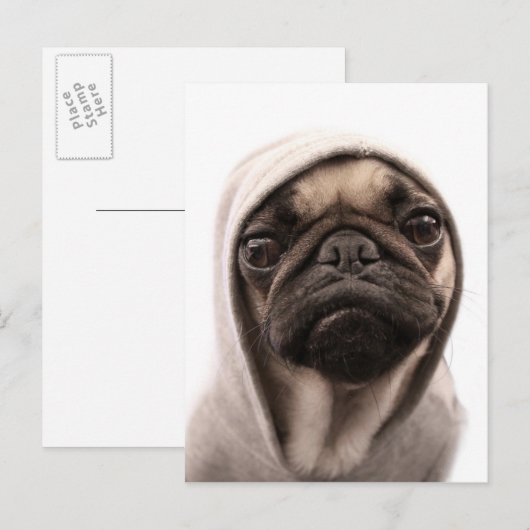 Carte Postale Pug (Devant / Derrière)