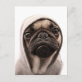 Carte Postale Pug (Devant)