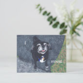 Carte Postale Pug Dog New Address Postcards (Debout devant)
