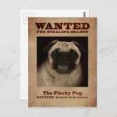 Carte Postale Pug Plucky Postcard (Devant / Derrière)