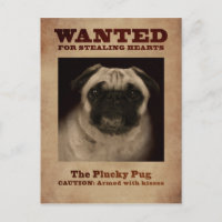 Pug Plucky Postcard