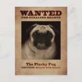 Carte Postale Pug Plucky Postcard (Devant)
