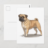 Carte Postale Pugabull américain (Devant / Derrière)