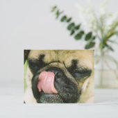 Carte Postale Pugalicious Postcard (Debout devant)